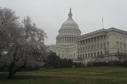 Capitol Building